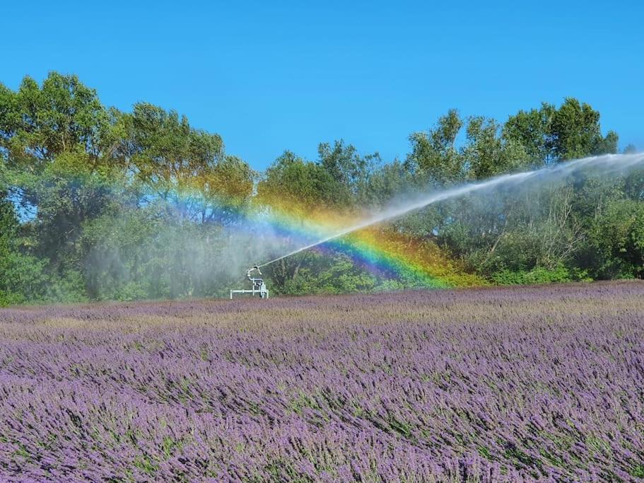 Vila L'Ardeche En Provence Avec Jardin Ombrage Pont-Saint-Esprit Exteriér fotografie